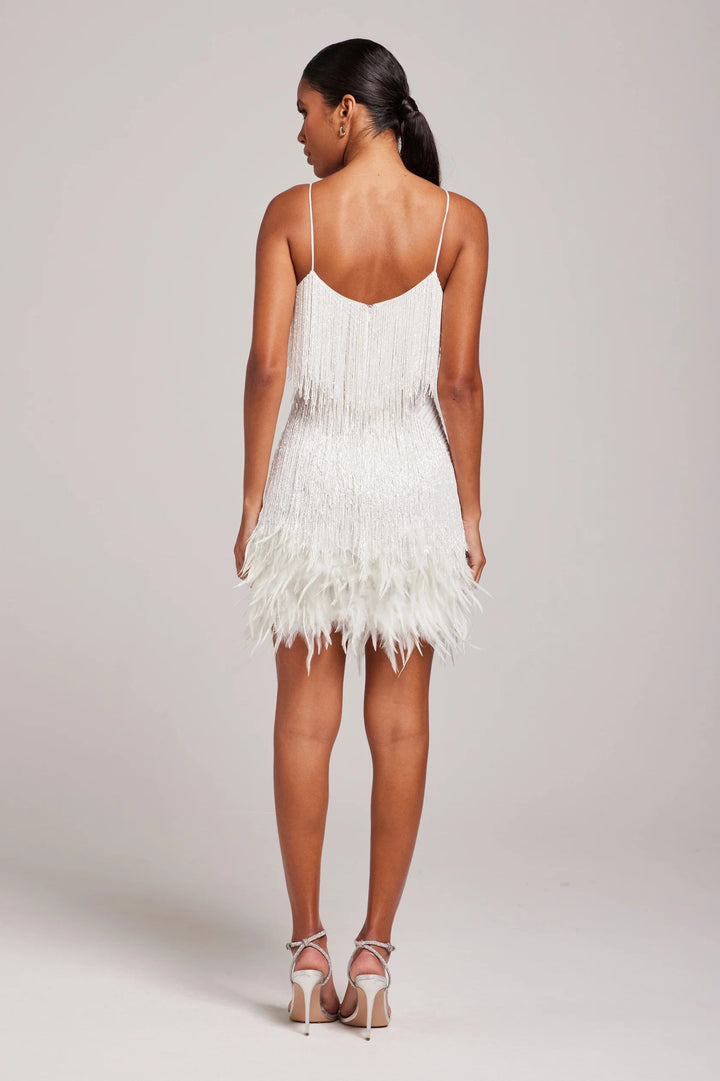 Giselle | Women's Sequin Fringe Cocktail Mini Dress